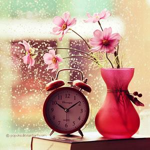 帝國(guó)CMS的基本操作視頻教程-墨魚出品